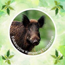 01dzikLogo Kampanii.jpg